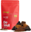 Stay wyld organics - chaga mushroom, 90 vcaps Online Sale