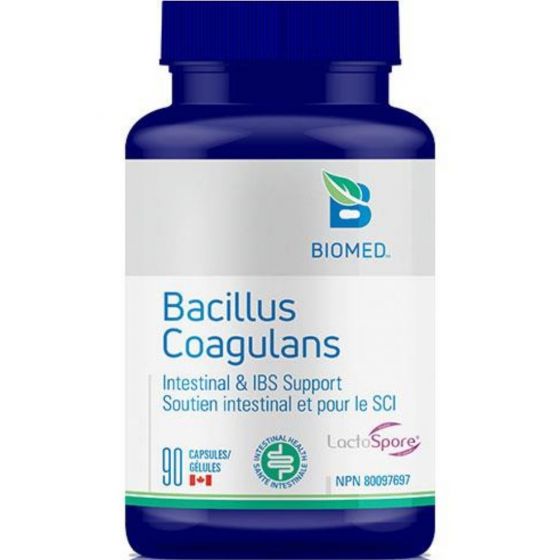 Biomed - bacillus coagulans - 90 caps on Sale