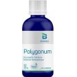 Biomed – polygonum 50 ml Online now