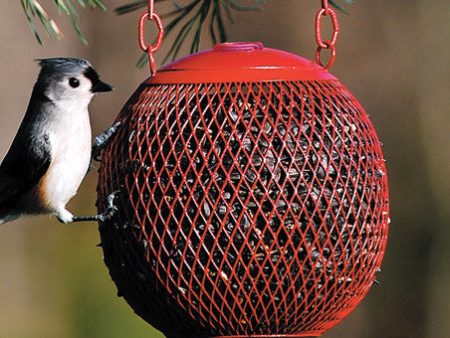 Sweet Corn Products Llc - No no Seed Ball Wild Bird Feeder Cheap