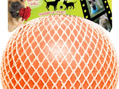 Jolly Pets - Bounce-n-play Ball Online