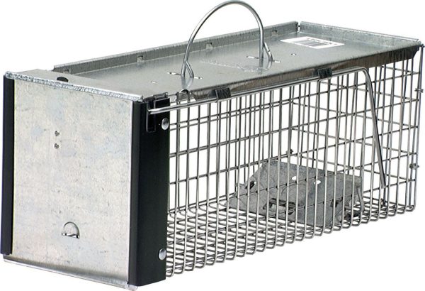 Woodstream Havahart     D - Havahart 1-door Extra Small Animal Trap Online Hot Sale