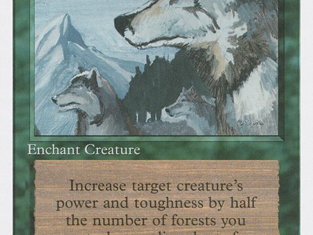 Aspect of Wolf [Fourth Edition] Online Hot Sale