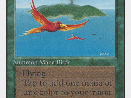 Birds of Paradise [Unlimited Edition] Discount