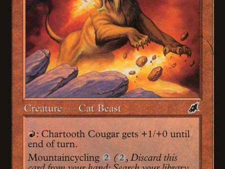 Chartooth Cougar [Scourge] Hot on Sale